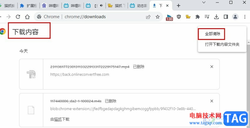 谷歌浏览器一键清除所有下载记录的方法