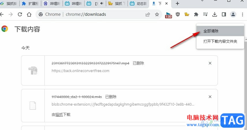 谷歌浏览器一键清除所有下载记录的方法