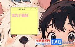 Simple Sticky Notes设置隐藏或
