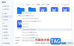 WPS word文档更改为宏的wo