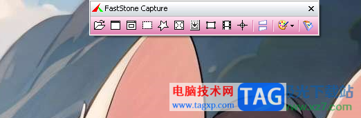 FastStone Capture设置状态栏皮肤背景颜色的方法