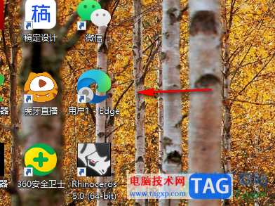 edge浏览器历史记录固定在页面右边的方法