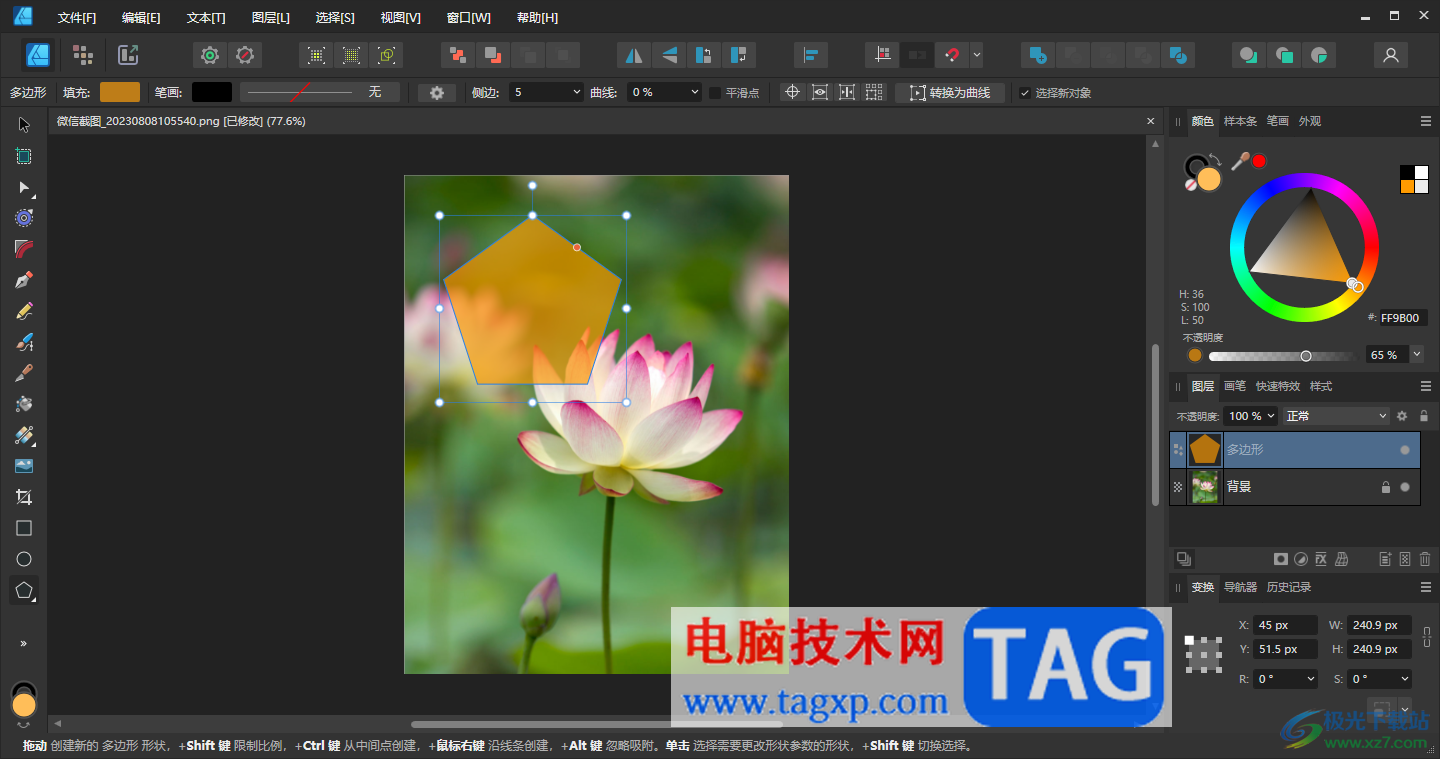 Affinity Designer2在图片上插入图形的方法