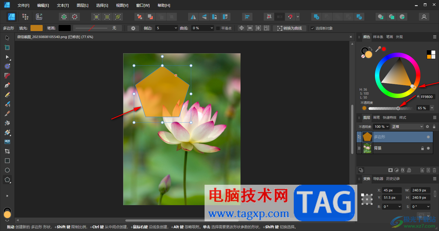 Affinity Designer2在图片上插入图形的方法