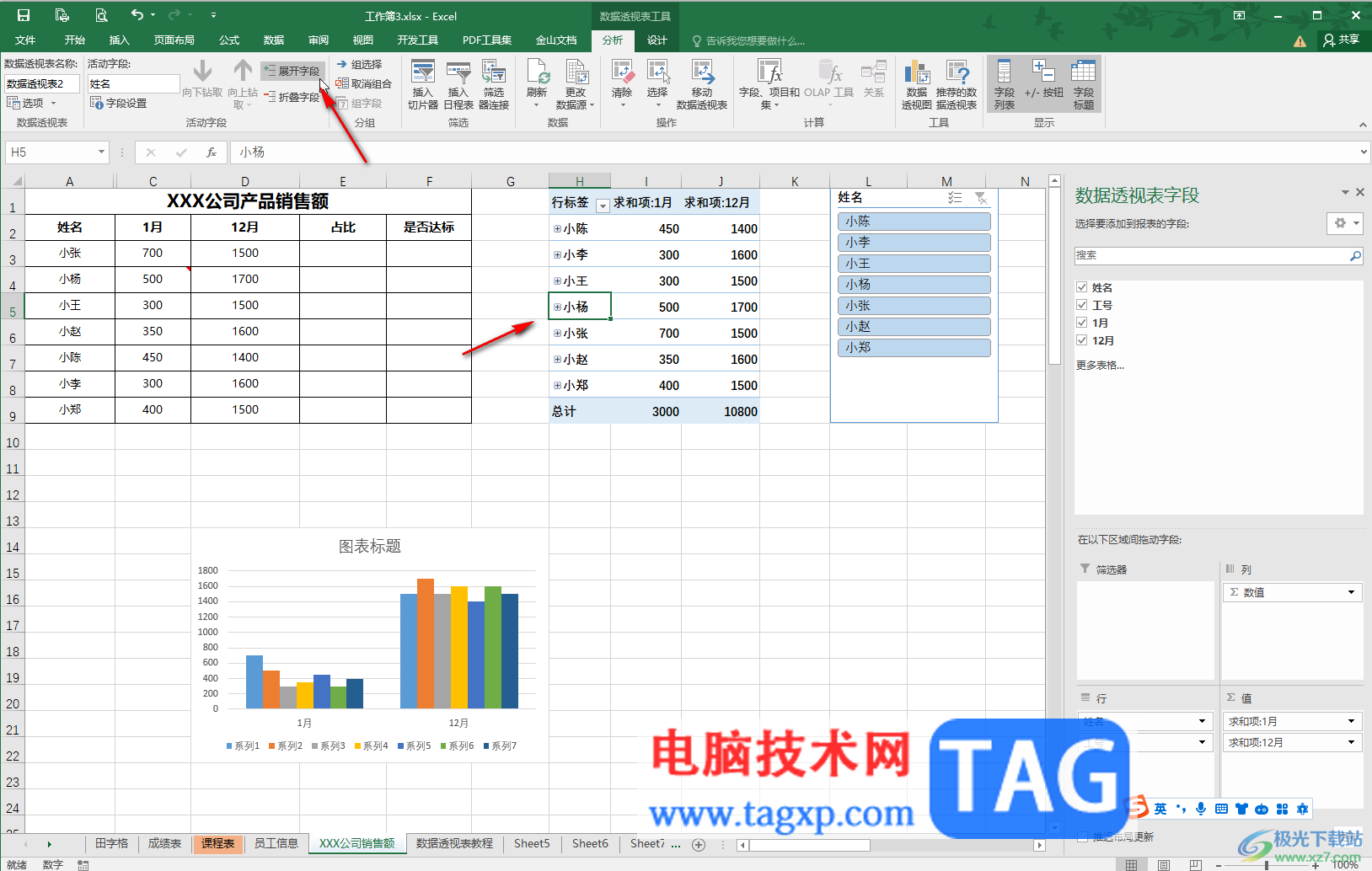 Excel显示或隐藏数据透视表数据的方法教程
