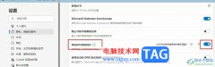 Edge浏览器开启网站拼写错