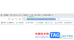 Internet Download Manager使用的